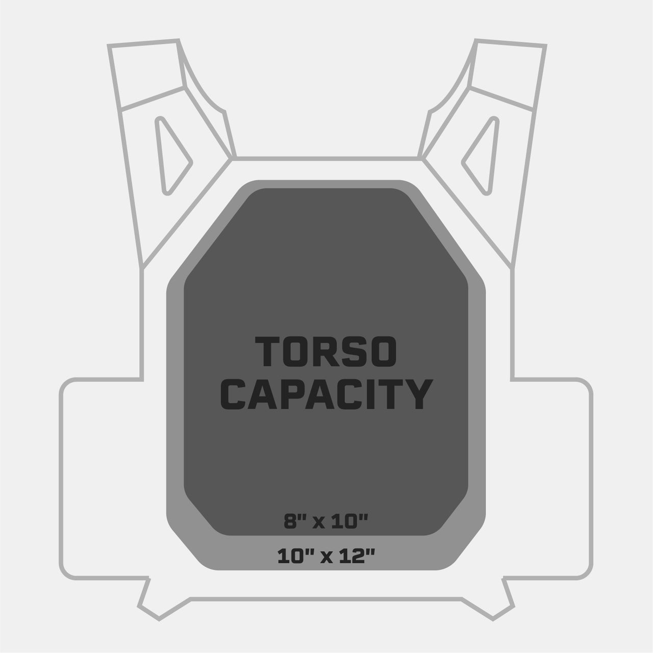 BattleVest Lite Plate Carrier